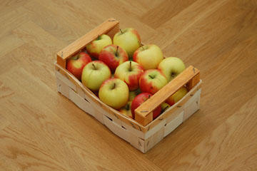 Tölle Handelskontor Holzspansteige Äpfel