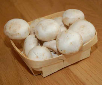 Tölle Handelskontor Holzschälchen Champignons