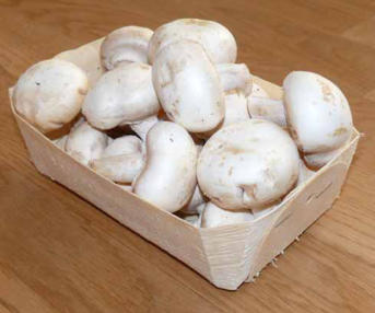 Tölle Handelskontor Holzschälchen Champignons