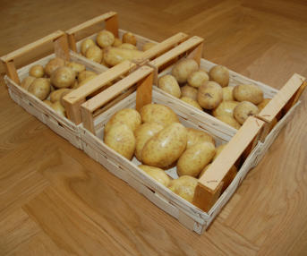 Tölle Handelskontor Holzstapelkisten Kartoffeln