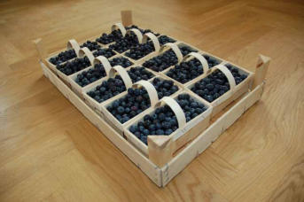 Tölle Handelskontor Holzsteigen Blaubeeren