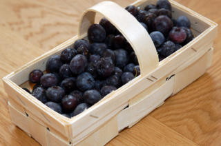 Tölle Handelskontor Beeren Blaubeeren