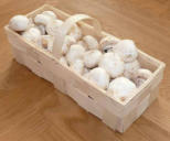 Tölle Handelskontor Holzspankörbchen Champignons