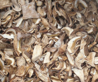 Tölle Handelskontor Waldpilze Steinpilze