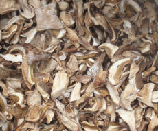 Tölle Handelskontor Waldpilze Steinpilze