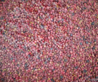 Tölle Handelskontor Waldfrüchte Preiselbeeren